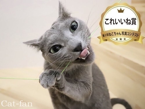 第2回受賞作品これいいね賞