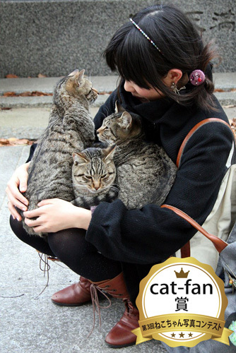 cat-fan賞写真コンテスト